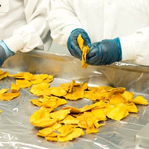 food processing plant analysis chemical air monitoring quality worker safety hazard whmis industry