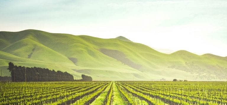 Nitrogen Based Fertilizers